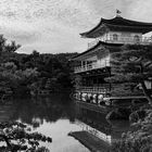 JAPAN- Kyoto - Kinkaku-ji - goldener Pavillon - SCHWARZ WEISS