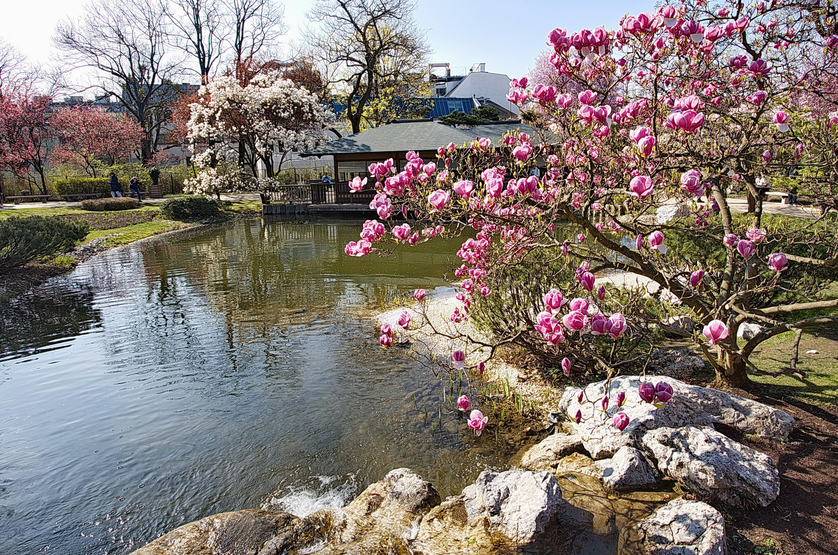 Japan meets Vienna (2)