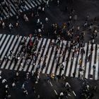 Japan Shibuya crossing