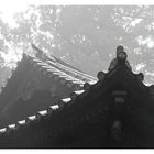 Japan XIII - Tempel im Nebel