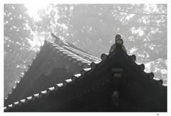 Japan XIII - Tempel im Nebel