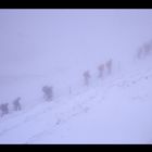 Japaner im Schnee