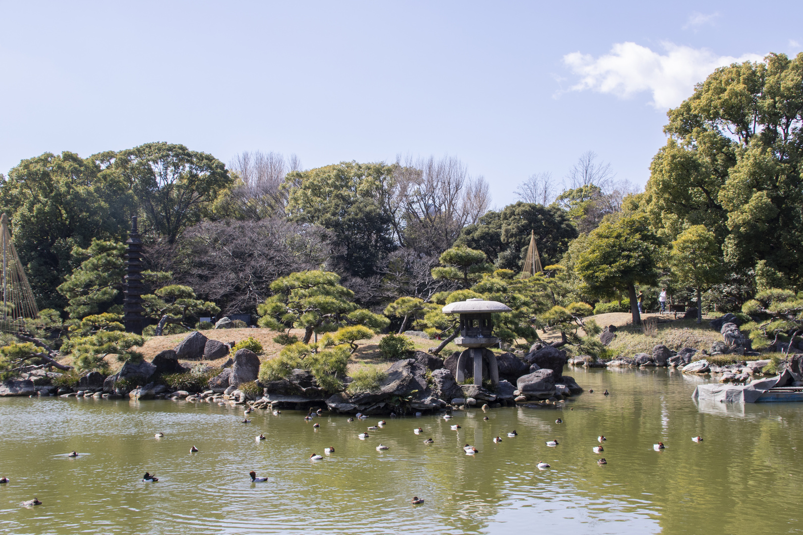 Japanese Garden-1