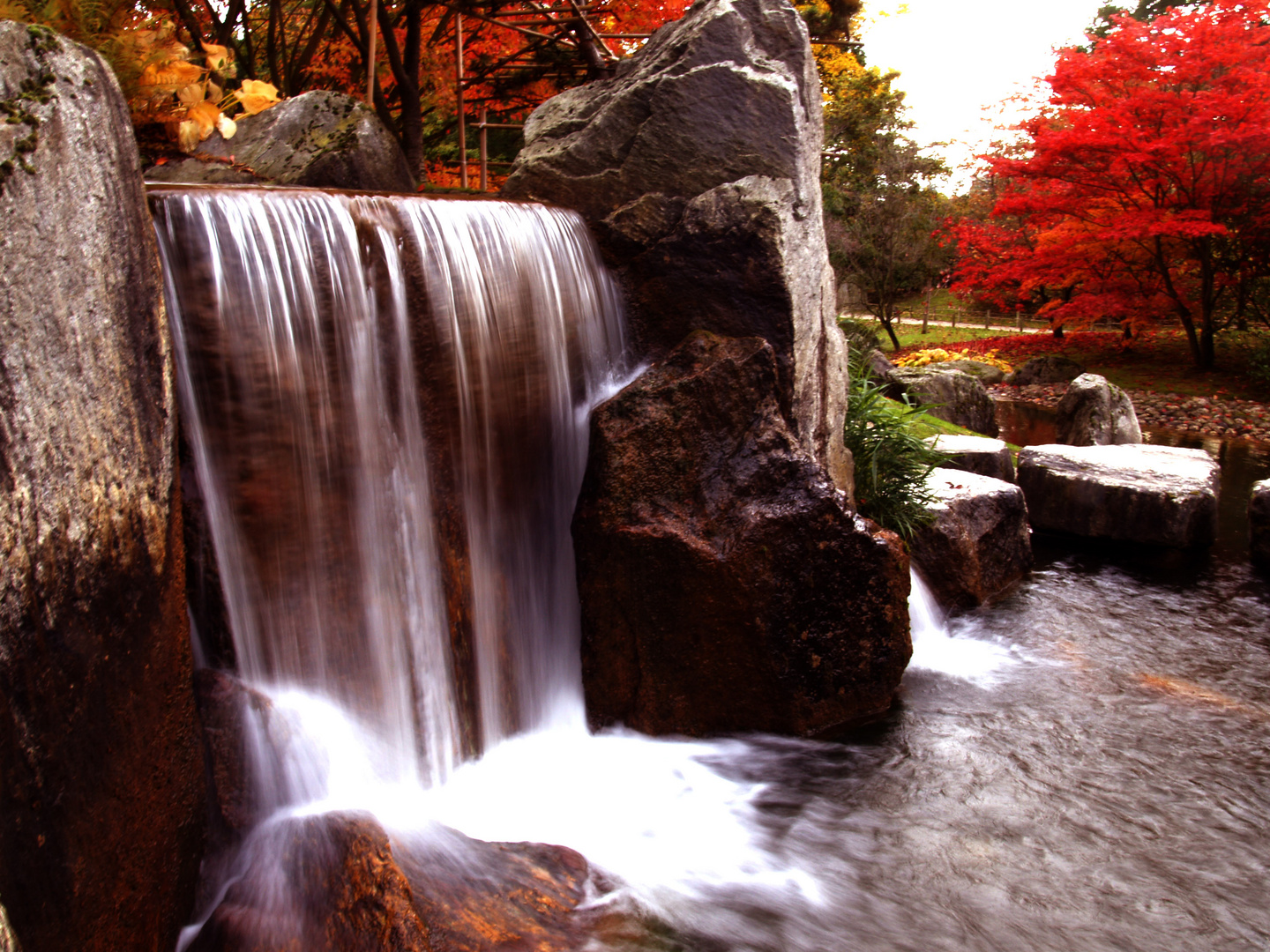 Japanese Garden