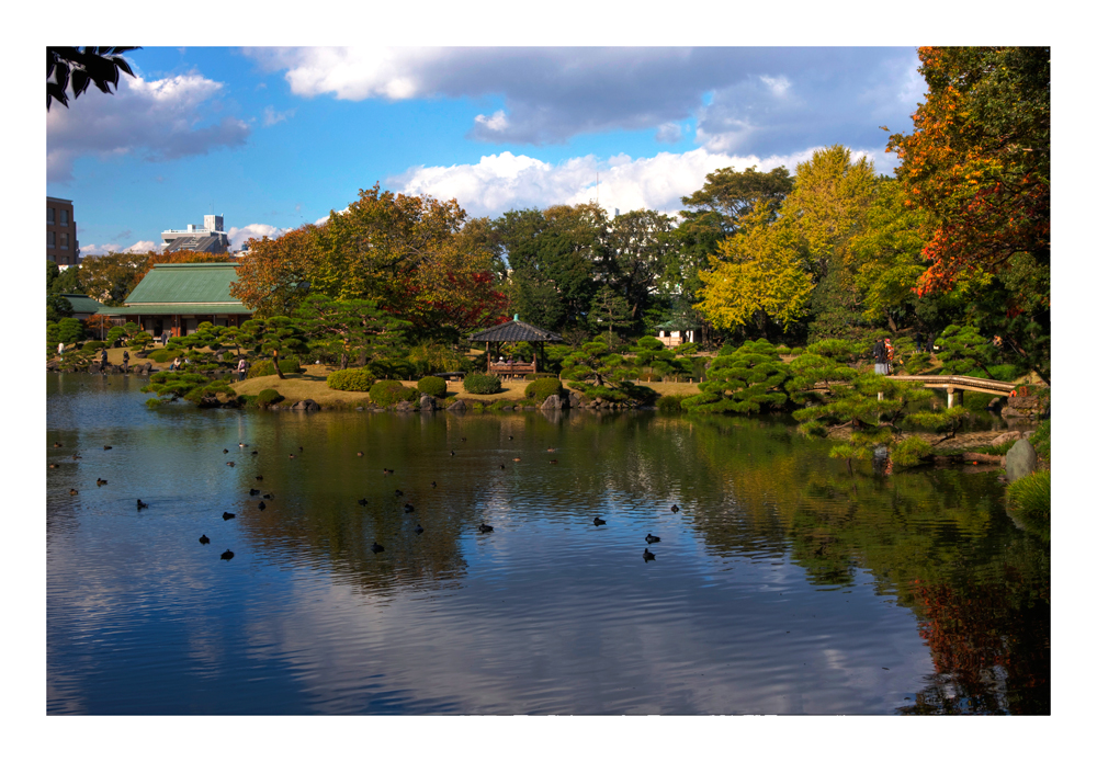 Japanese Garden -2 [Kiyosumi Garden]