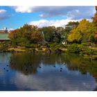 Japanese Garden -2 [Kiyosumi Garden]