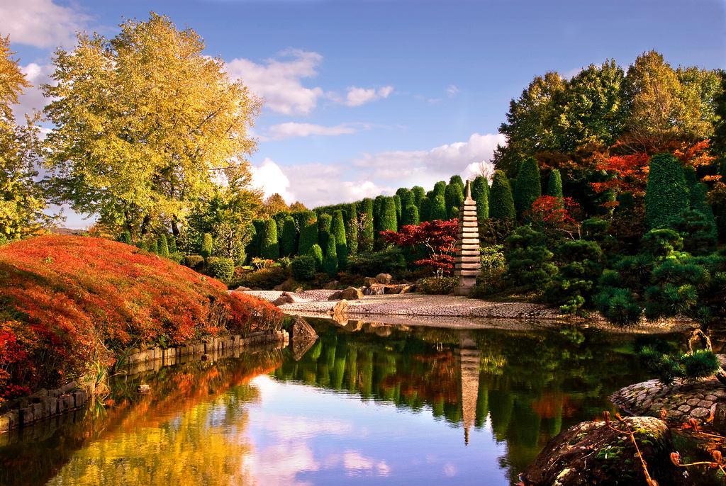 Japanese Garden