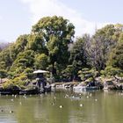 Japanese Garden-3