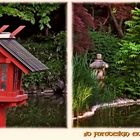 Japanese Garden 3D