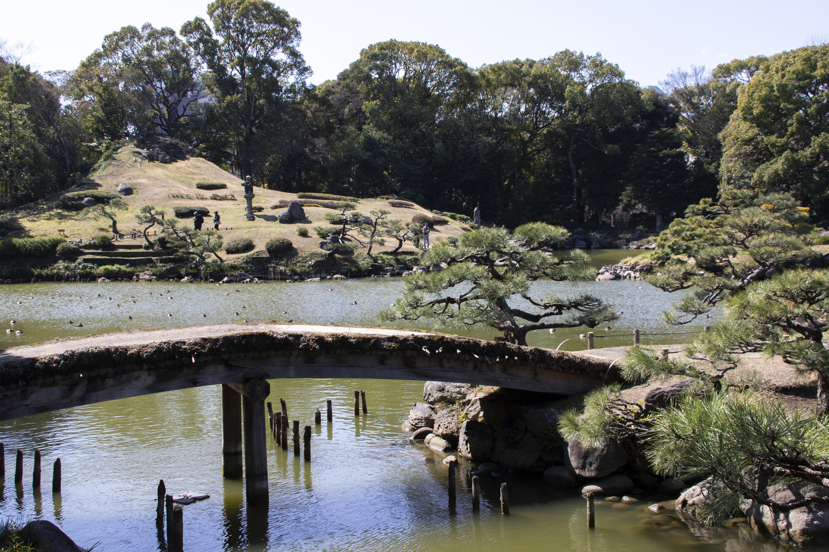 Japanese Garden-5