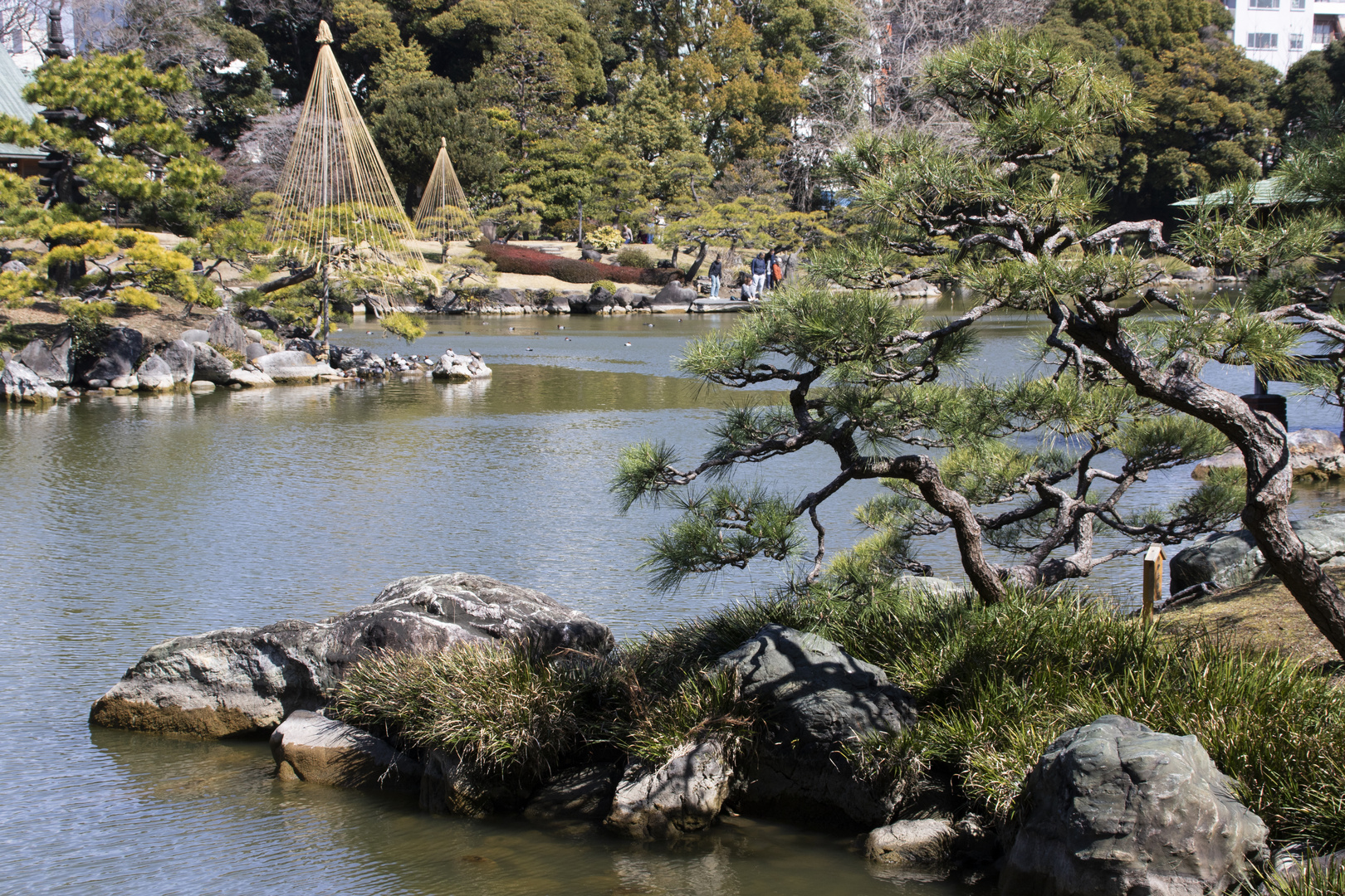 Japanese Garden-6