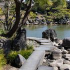 Japanese Garden-8