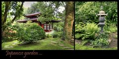 Japanese garden...