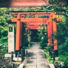 Japanese Garden Entrance