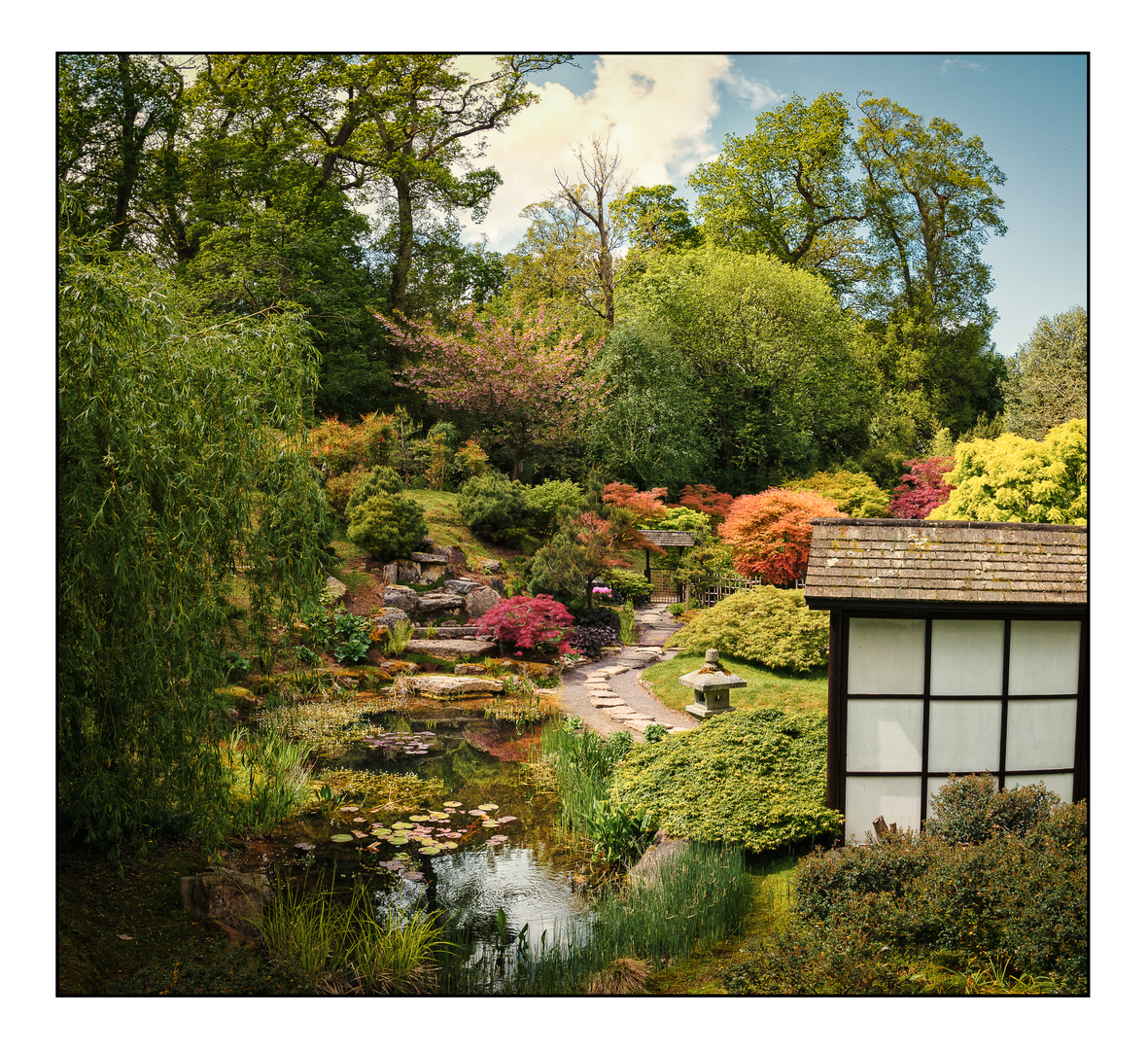 Japanese Garden in Kingston Lacy Foto & Bild europe, united kingdom & ireland, england Bilder