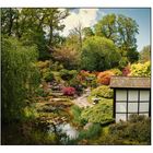 Japanese Garden in Kingston Lacy