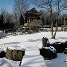 Japanese Garden in Winter