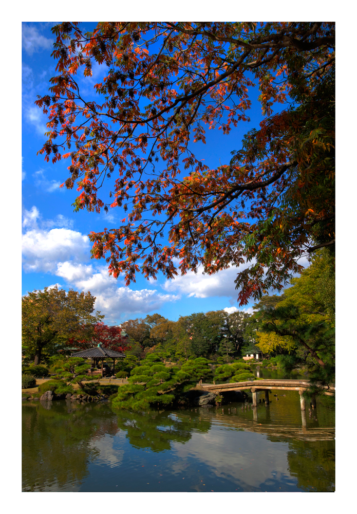 Japanese Garden [Kiyosumi Garden]