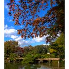 Japanese Garden [Kiyosumi Garden]