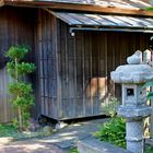 Japanese Garden, San Francisco, California