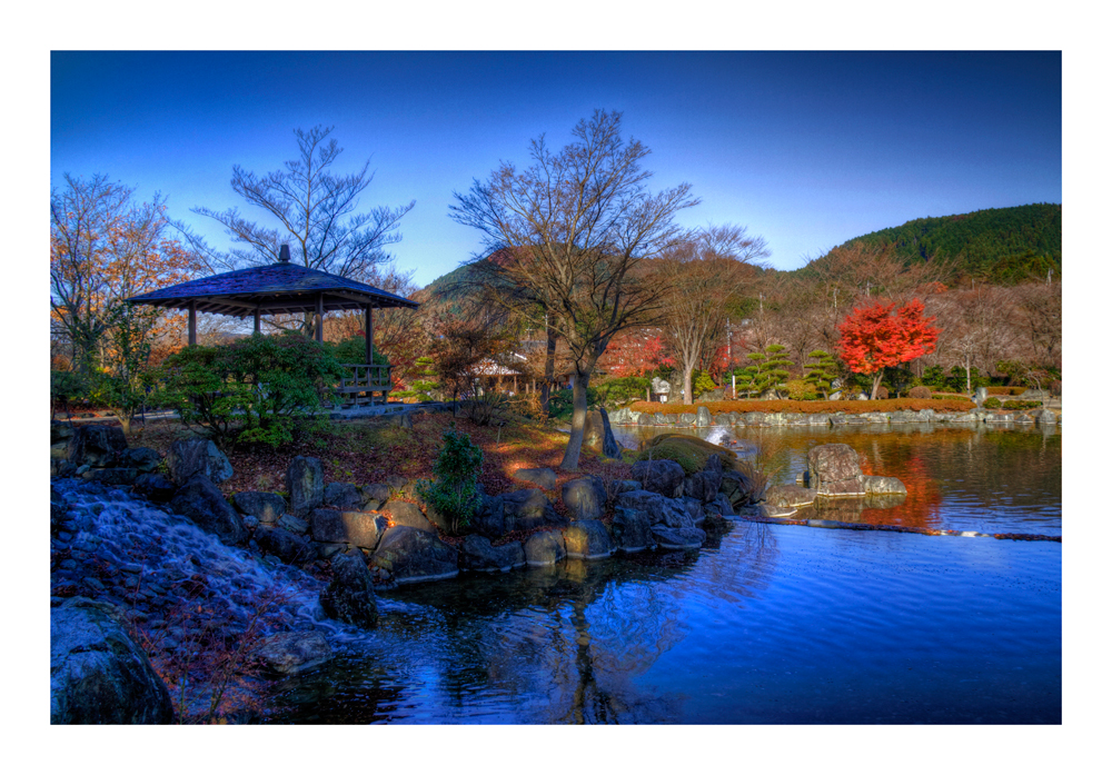 Japanese Garden View