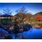 Japanese Garden View