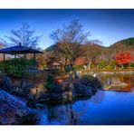 Japanese Garden View