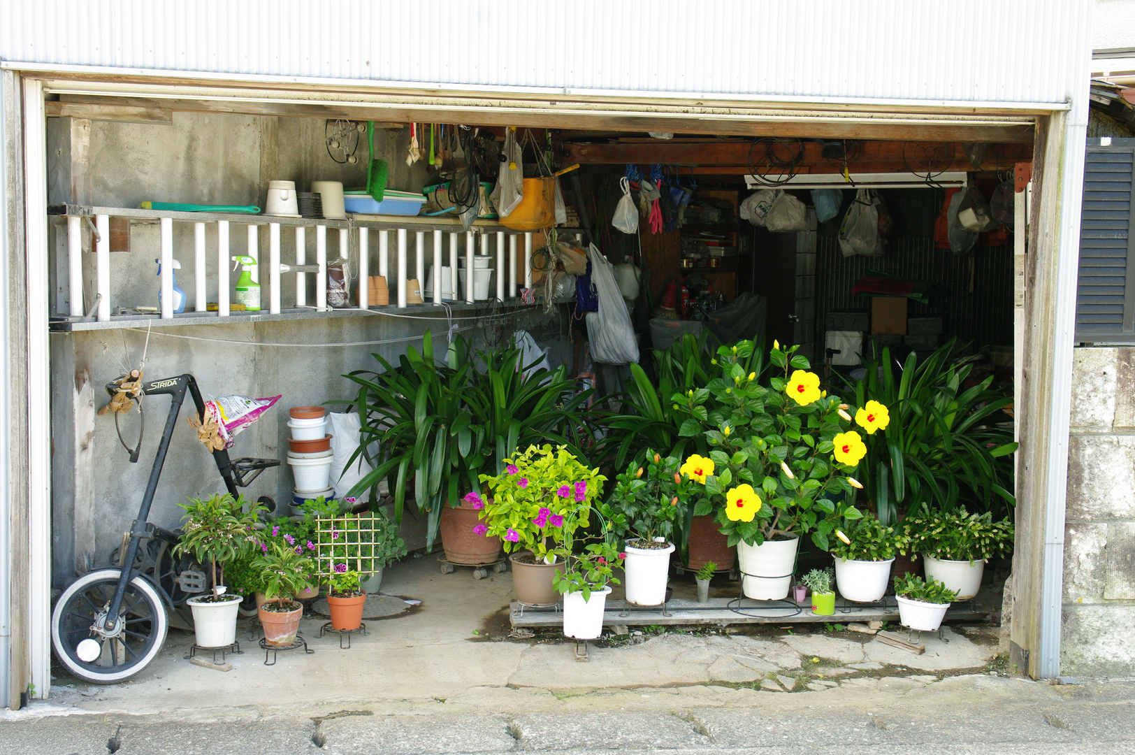 japanese gardening