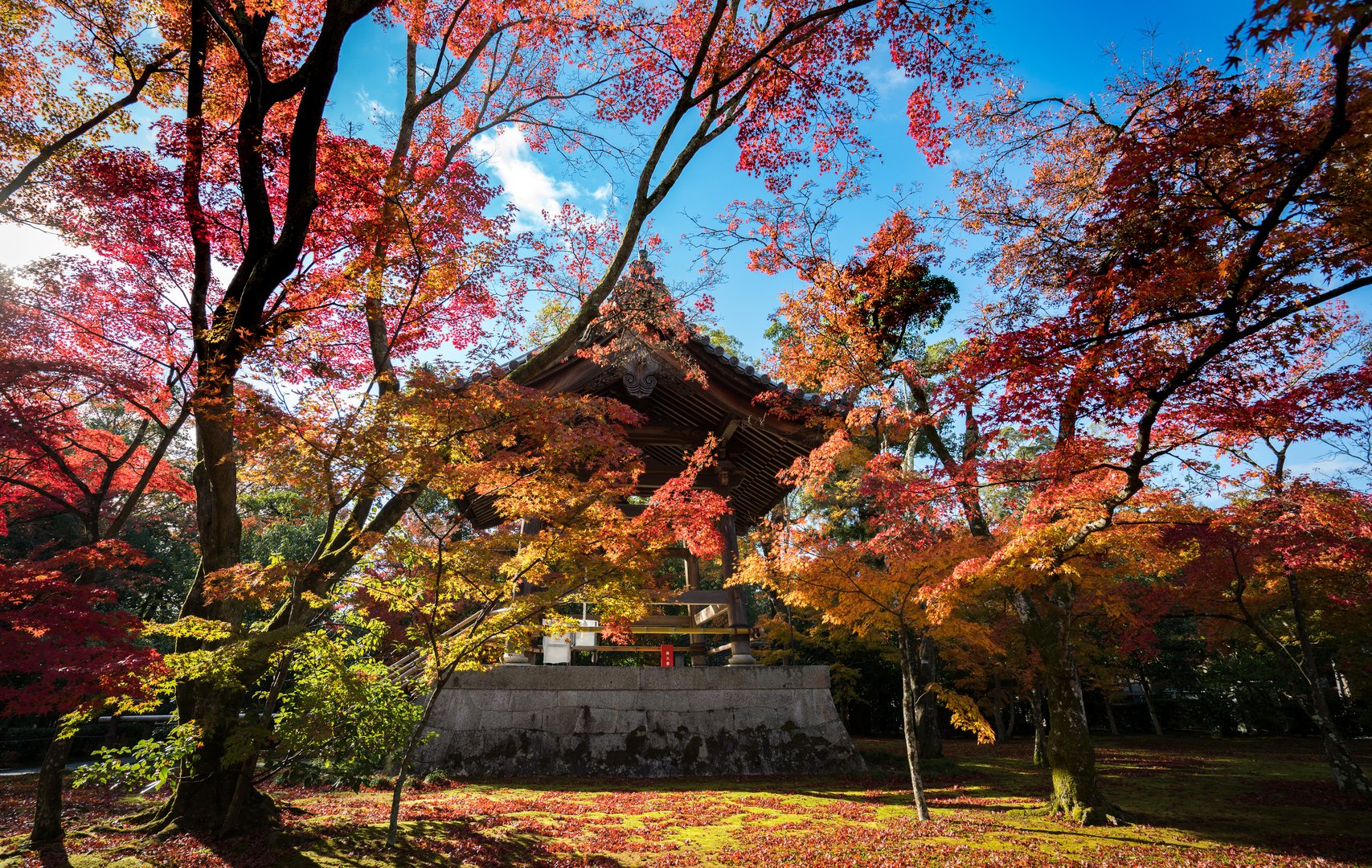 Japanese Gardens