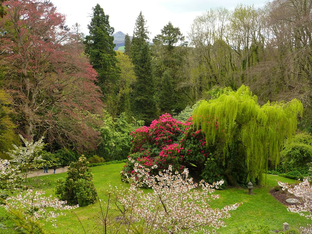 Japanese Gardens