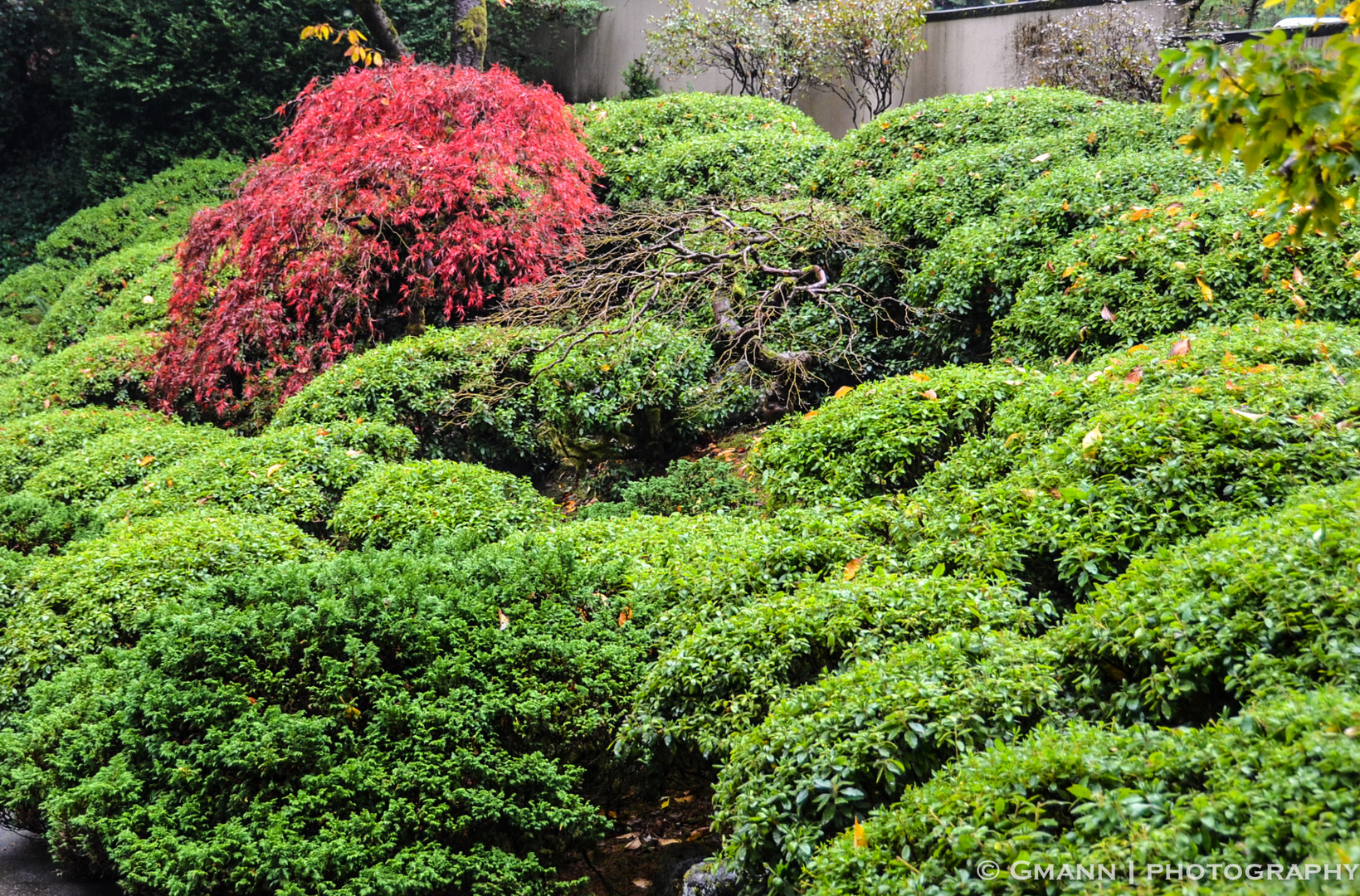 Japanese gardens in Portland