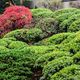 Japanese gardens in Portland