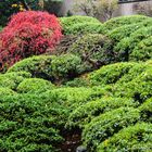 Japanese gardens in Portland