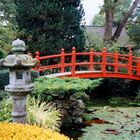 Japanese Gardens Kildare