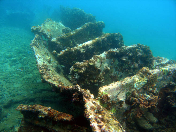 Japanese Lighthouse Wreck (Malapascua/Philippinen)