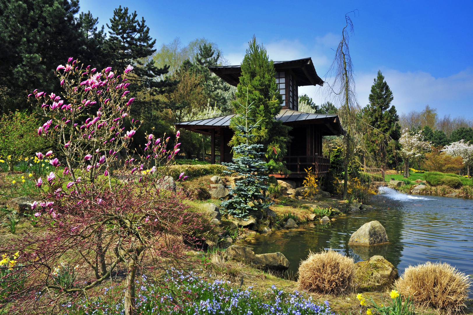 japanese spring - gegen den Grauschleier