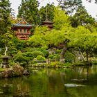 Japanese Tea Garden