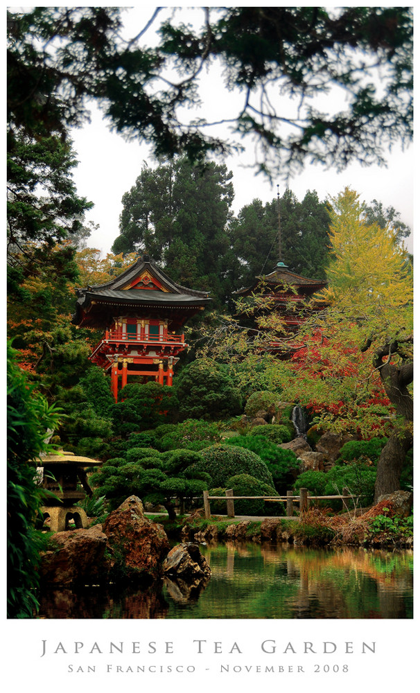 Japanese Tea Garden