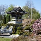 Japanese Temple in Düsseldorf