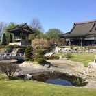 Japanese Temple in Düsseldorf