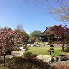 Japanese Temple in Düsseldorf