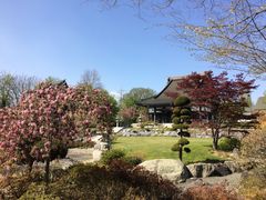 Japanese Temple in Düsseldorf