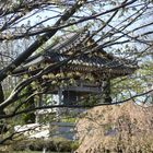 Japanese Temple in Düsseldorf