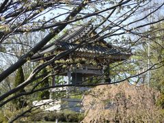 Japanese Temple in Düsseldorf