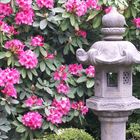 Japanesse Garden