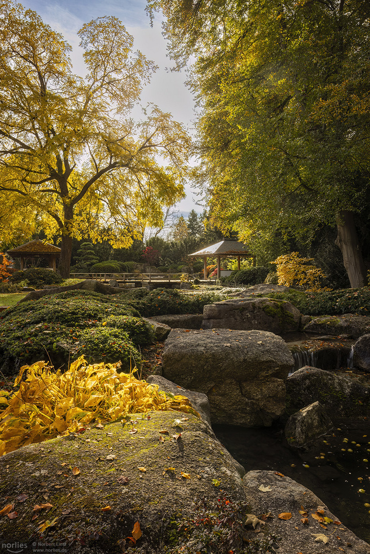 Japangarten Aussicht