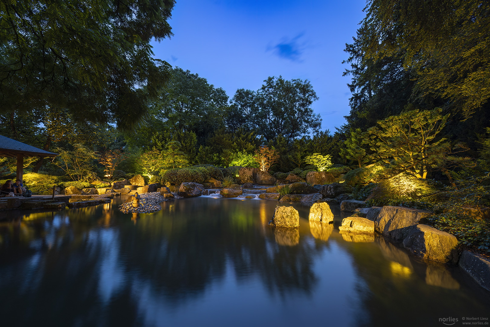 Japangarten beleuchtet