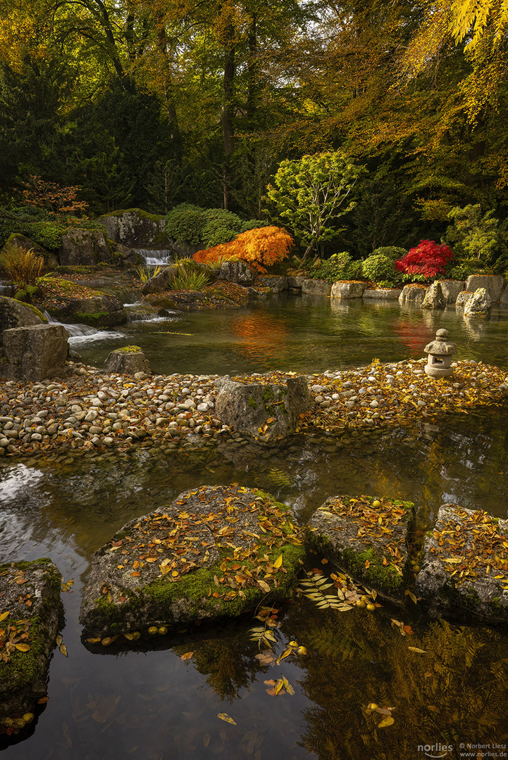 Japangarten im Herbst