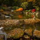 Japangarten im Herbst