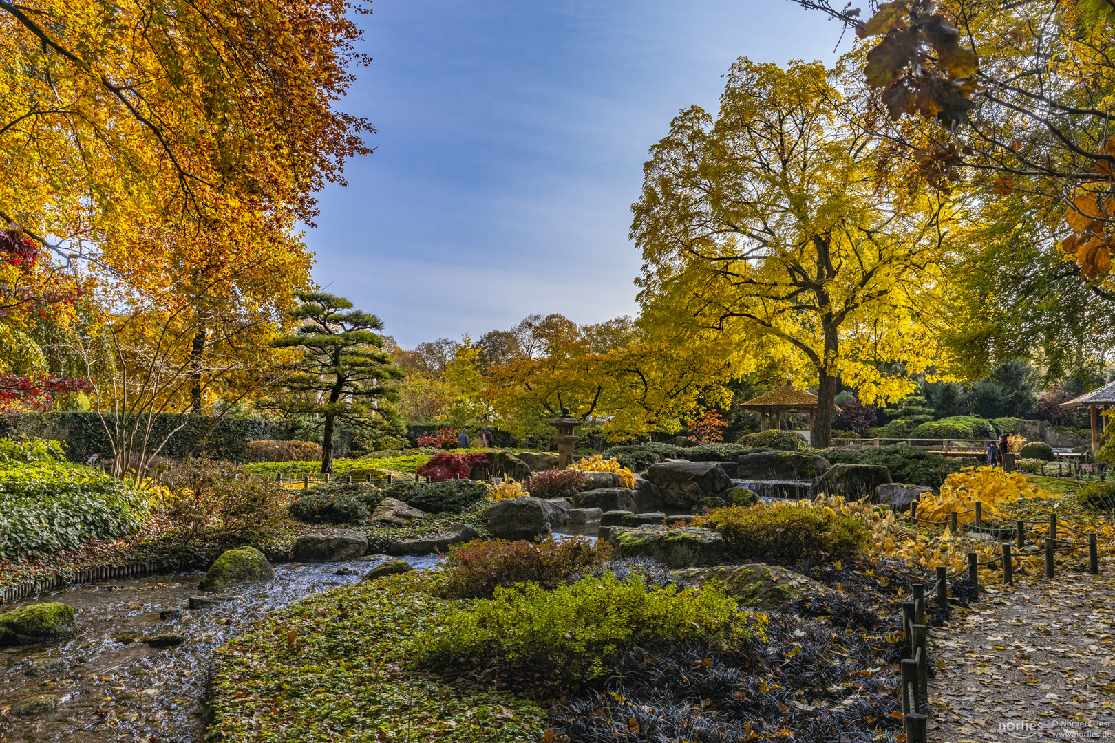 Japangarten im Herbst